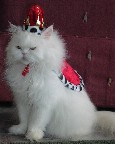 Queen Sophie